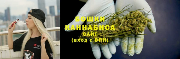 амф Бородино
