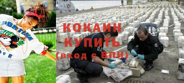 амф Бородино