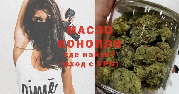 амф Бородино