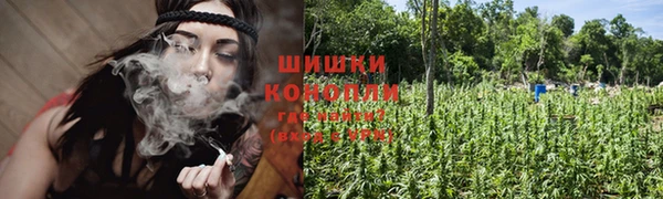 амф Бородино